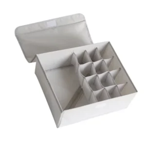 2 In 1 Undergarment Organizer Box | Underwear Organizer With Lid | Socks Storage Organizer | Closet Organizer | Storage Box